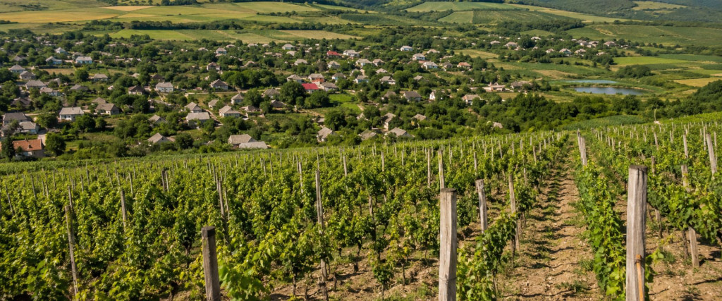 Ghidul tău de vară în Moldova